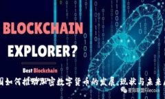 中国如何推动加密数字货币的发展：现状与未来
