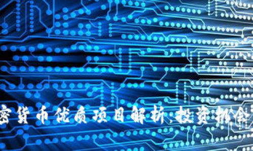 2023年加密货币优质项目解析：投资机会与风险分析