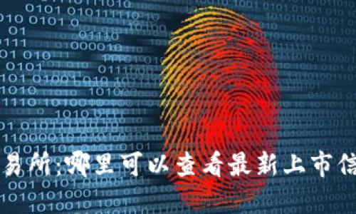新加密货币交易所：哪里可以查看最新上市信息与交易动态