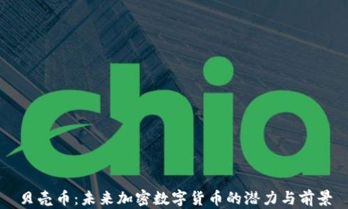 
贝壳币：未来加密数字货币的潜力与前景