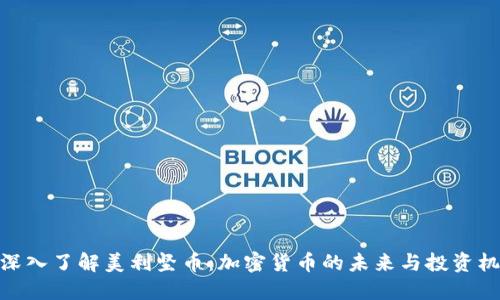 : 深入了解美利坚币：加密货币的未来与投资机遇