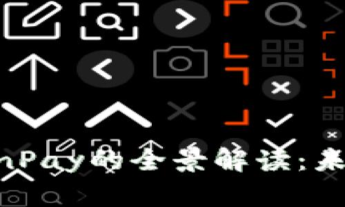 中国加密货币YuanPay的全景解读：未来金融的变革先锋