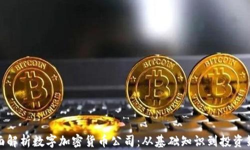 
全面解析数字加密货币公司：从基础知识到投资策略