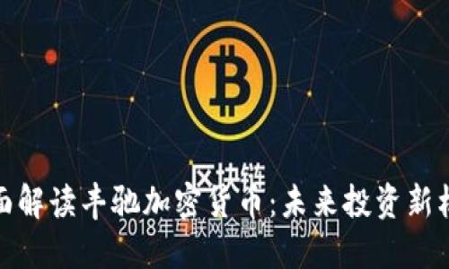 全面解读丰驰加密货币：未来投资新机会