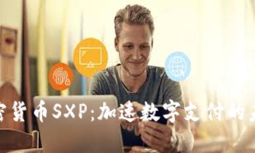 Visa加密货币SXP：加速数字支付的未来之路