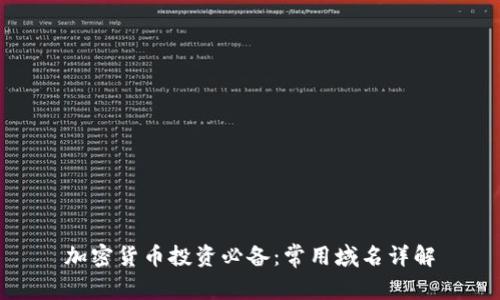 加密货币投资必备：常用域名详解