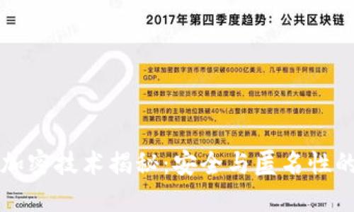 比特货币加密技术揭秘：安全与匿名性的双重保障