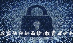 揭开加密货币庄家的神秘面纱：投资者必知的内
