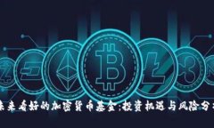 未来看好的加密货币基金：投资机遇与风险分析