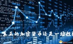 维卡币：真正的加密货币还是一场投机游戏？