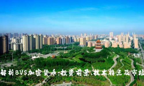 深入解析BVS加密货币：投资前景、技术特点及市场动向
