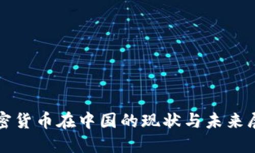 加密货币在中国的现状与未来展望
