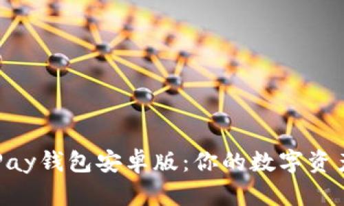 全面解析OKPay钱包安卓版：你的数字资产管理新选择