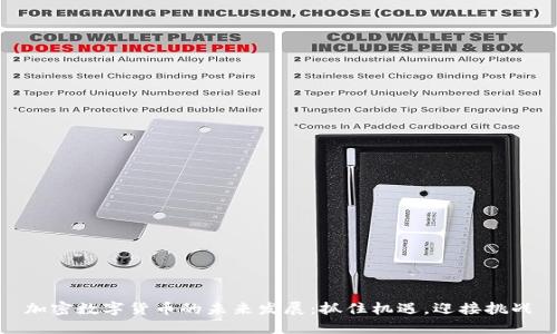 加密数字货币的未来发展：抓住机遇，迎接挑战