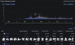 委内瑞拉如何利用加密货币应对经济危机？