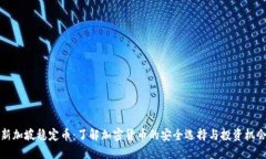 新加坡稳定币：了解加密货币的安全选择与投资