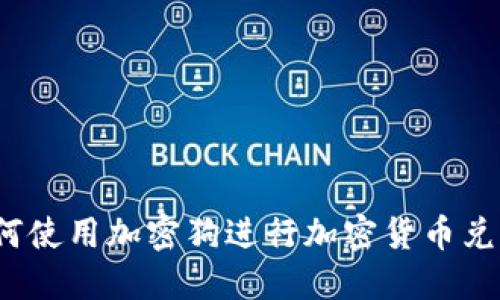 如何使用加密狗进行加密货币兑换？