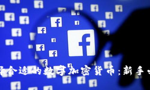 如何选择合适的数字加密货币：新手必看指南