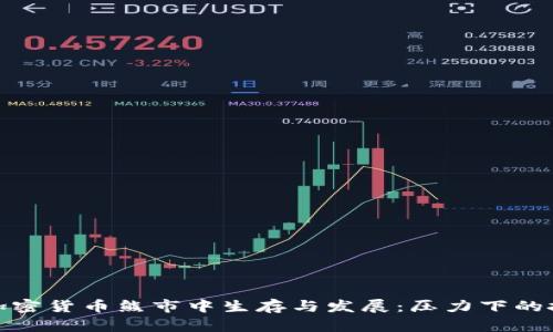 如何在加密货币熊市中生存与发展：压力下的投资策略