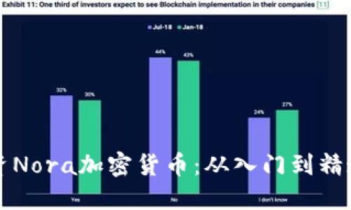 如何成功投资Nora加密货币：从入门到精通的全面指南