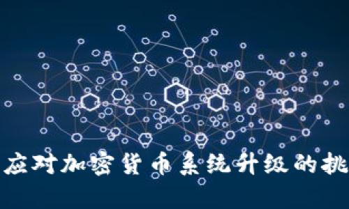 如何有效应对加密货币系统升级的挑战与机遇