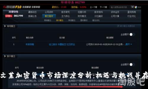 文莱加密货币市场深度分析：机遇与挑战并存