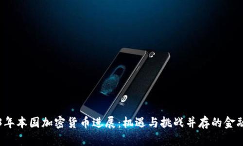 2023年本国加密货币进展：机遇与挑战并存的金融未来
