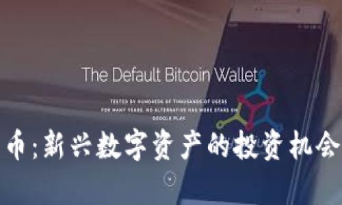 DCM加密货币：新兴数字资产的投资机会与风险分析