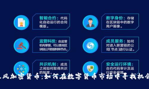 暴风加密货币：如何在数字货币市场中寻找机会？