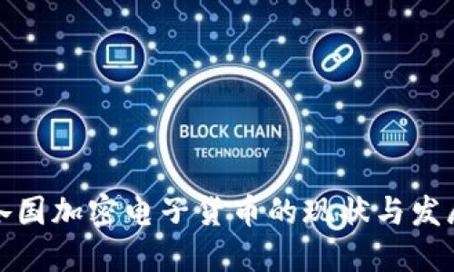 全球各国加密电子货币的现状与发展趋势