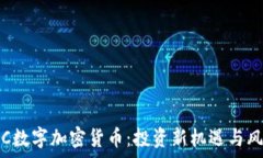   揭秘VIC数字加密货币：投资新机遇与风险分析