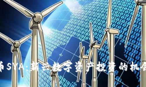 加密货币SYA：新兴数字资产投资的机会与风险