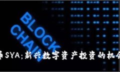 加密货币SYA：新兴数字资产投资的机会与风险