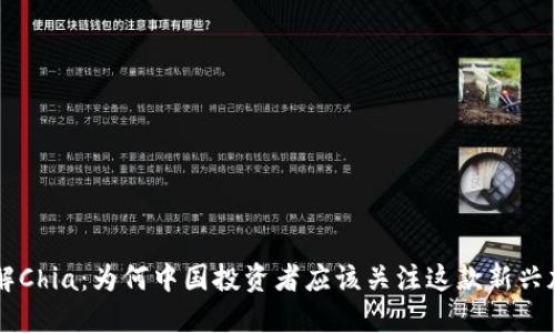 深入了解Chia：为何中国投资者应该关注这款新兴加密货币
