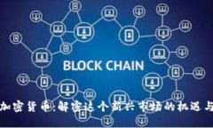 糖果加密货币：解密这个新兴市场的机遇与挑战