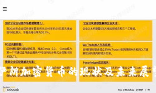 伊朗加密货币的现状及未来展望