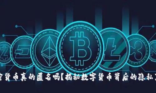 加密货币真的匿名吗？揭秘数字货币背后的隐私真相