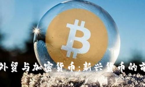 深入解析外贸与加密货币：新兴货币的前景与挑战