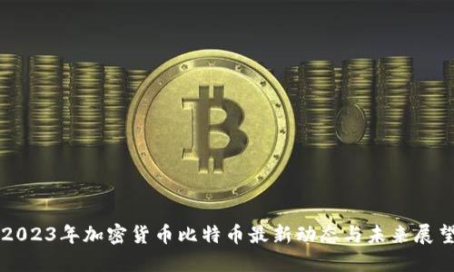 2023年加密货币比特币最新动态与未来展望