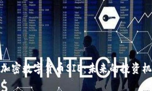 全面解析加密数字货币SIE：未来的投资机会与风险