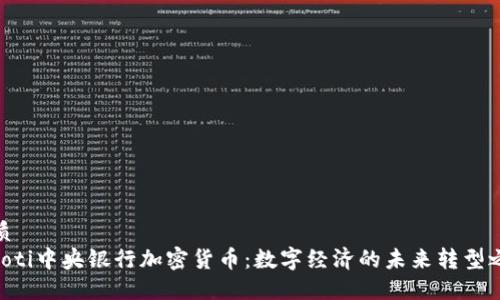 优质
baioti中央银行加密货币：数字经济的未来转型之路