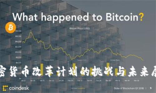 加密货币改革计划的挑战与未来展望
