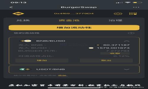 虚拟加密货币前景分析：投资机会与挑战