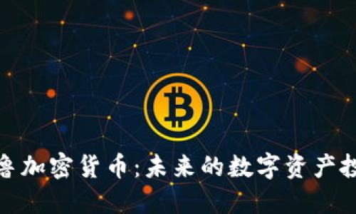 揭秘尼比鲁加密货币：未来的数字资产投资新机遇