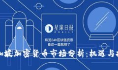 新加坡加密货币市场分析：机遇与挑战