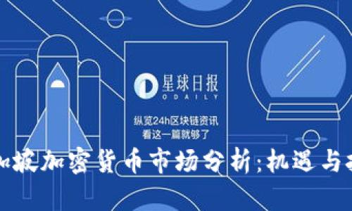 新加坡加密货币市场分析：机遇与挑战