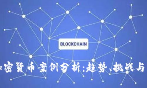 新西兰加密货币案例分析：趋势、挑战与未来发展