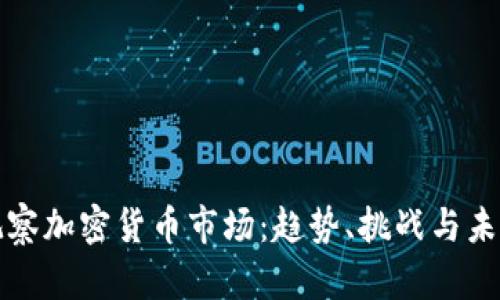 深入观察加密货币市场：趋势、挑战与未来发展