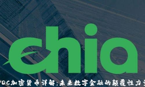 PDC加密货币详解:未来数字金融的颠覆性力量