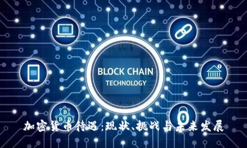 加密货币待遇：现状、挑战与未来发展